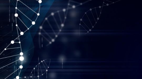 Biogena banner