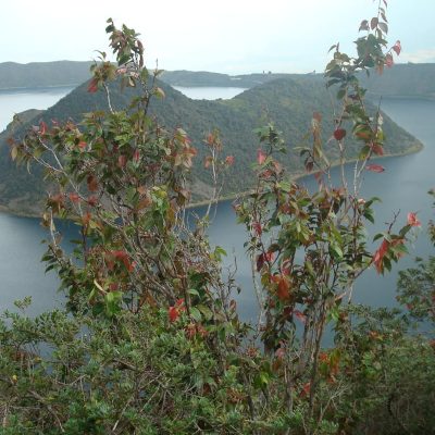 Calidad Ambiental banner