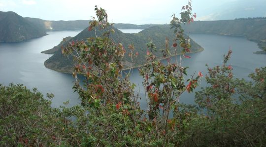 Calidad Ambiental banner