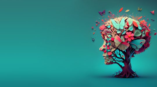Christina Hugo banner